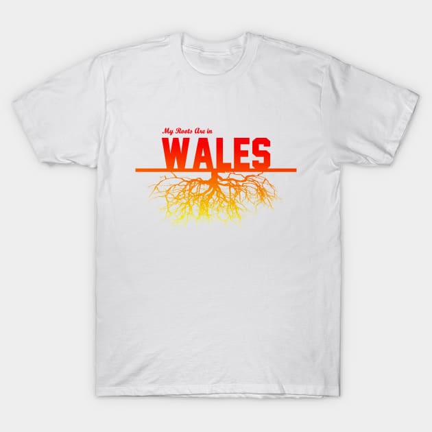 My Roots Are in Wales T-Shirt by Naves